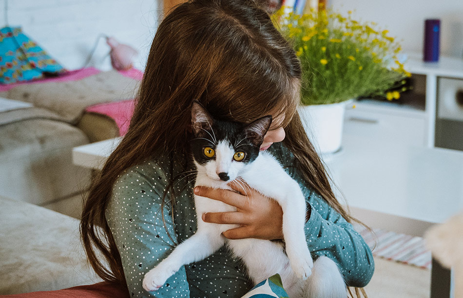 Adopting a cat 