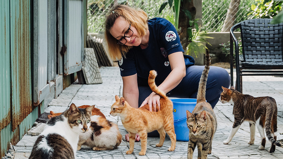 A caregiver at Vietnam Cat Welfare surrounded by rescued cats in a peaceful outdoor area