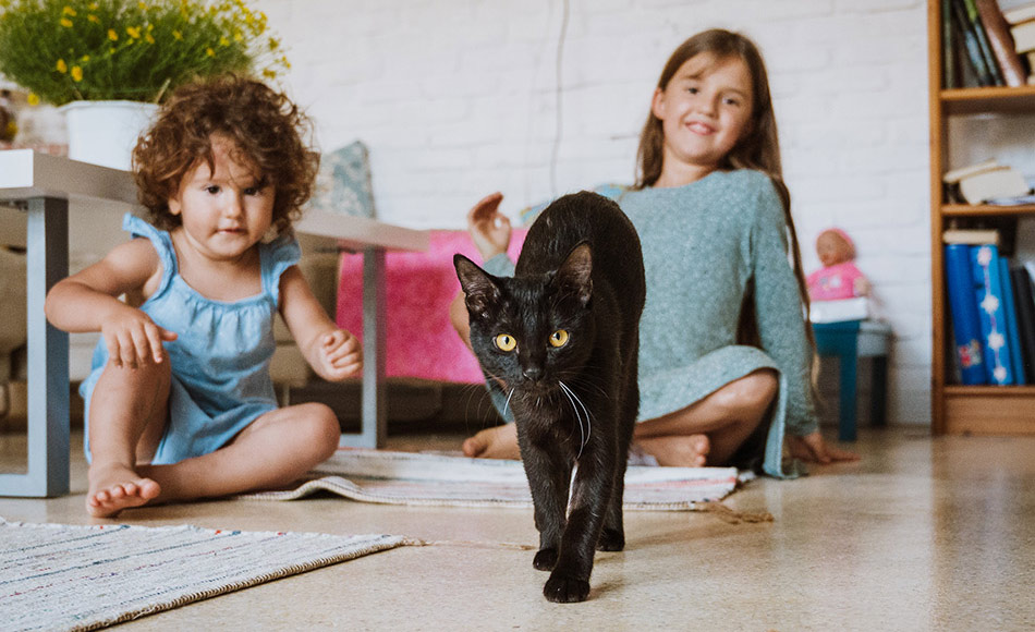  young girls smiling while a black rescue cat walks confidently toward the camera in a cozy home setting