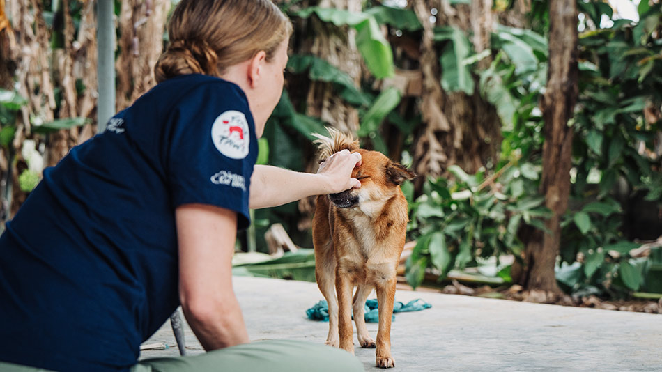 Emma gently petting a rescued dog at the Vietnam Cat Welfare shelter surrounded by greenery